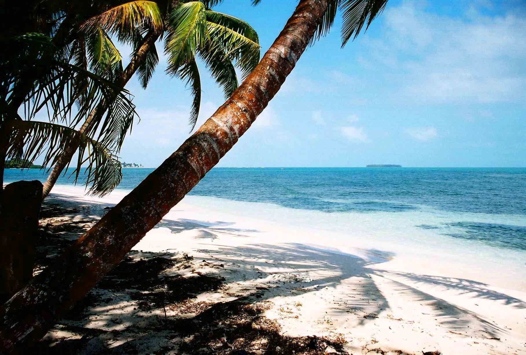 CRUMLEY PROPERTIES, LLC Real Estate, Property Leasing